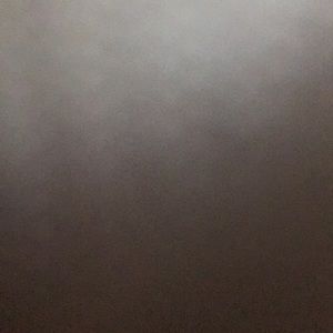 Meet your Posher, Bree